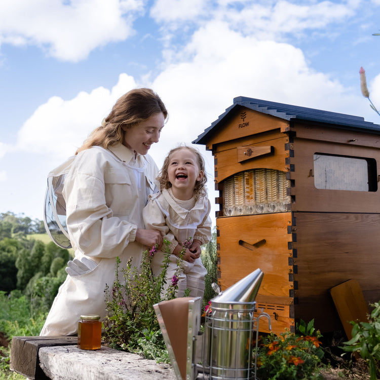 Deluxe Black Friday Bundle