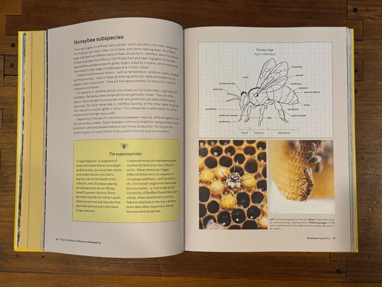 Flow Hive's Book of Bees and Beekeeping