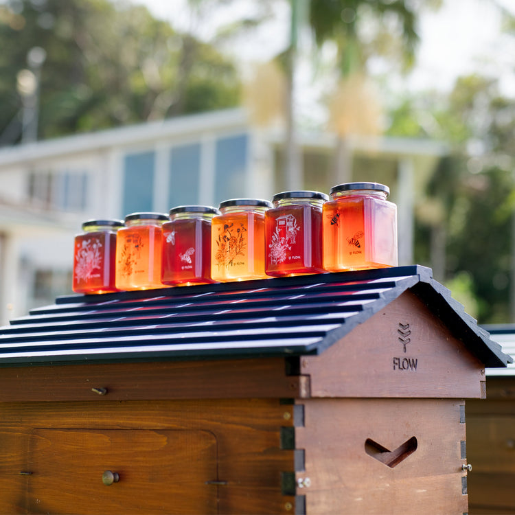 Flow Honey Jar Gift Set