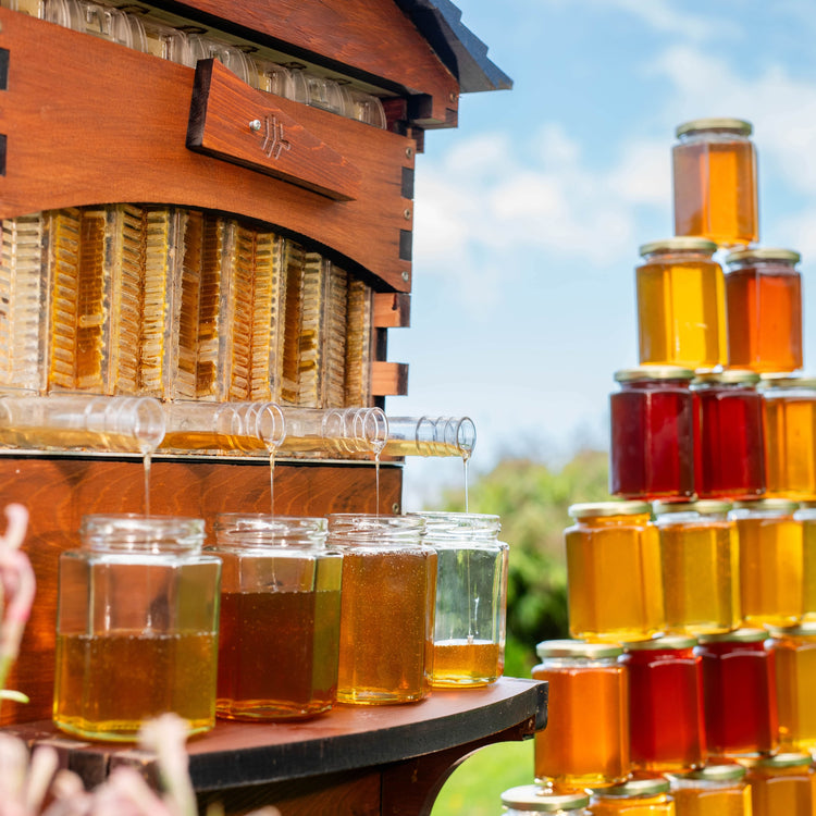 Apiary Bundle – Super Lifter Deluxe