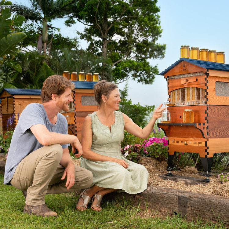 Flow Hive 2+ – Scratch & Dent