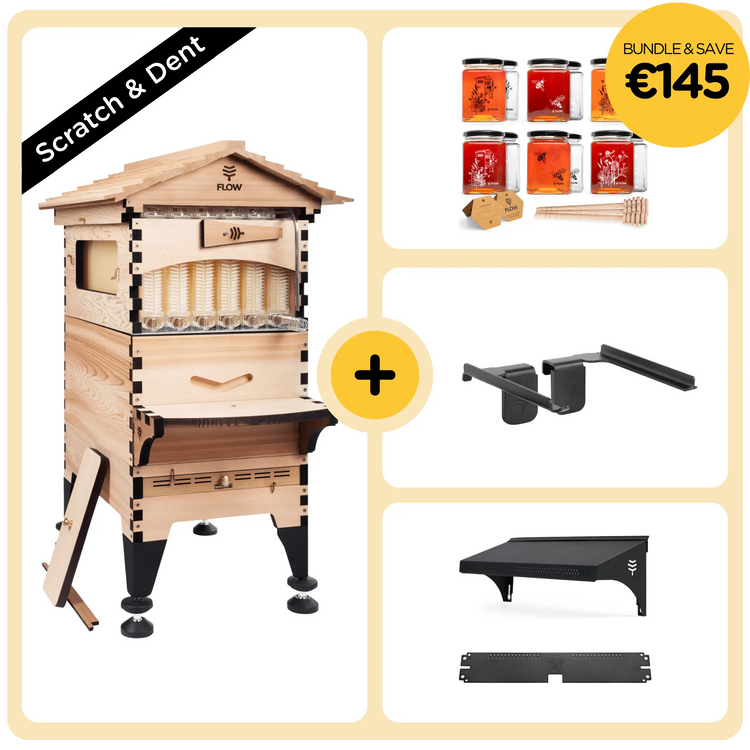 Scratch & Dent Deluxe Beek Bundle