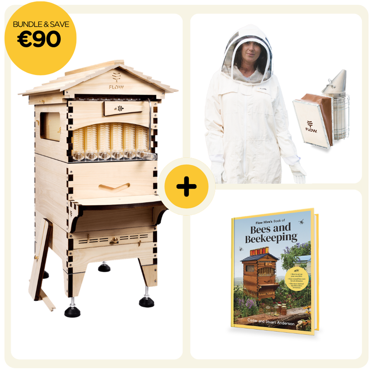 Starter Bundle