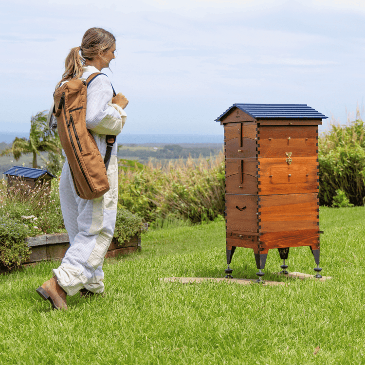 Spring Beek Bundle