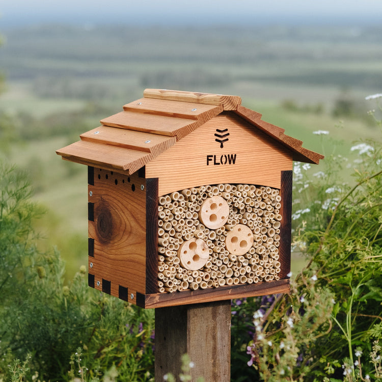 Flow Pollinator House