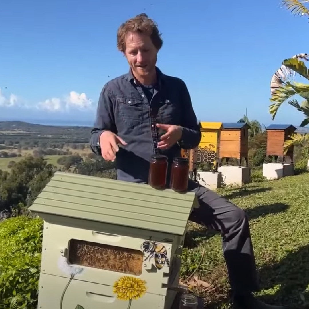 How do bees make honey? - Flow Hive EU