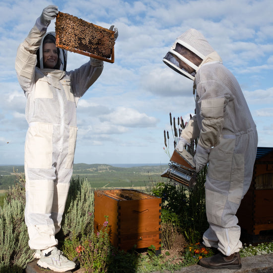 How do bees make honey? - Flow Hive EU