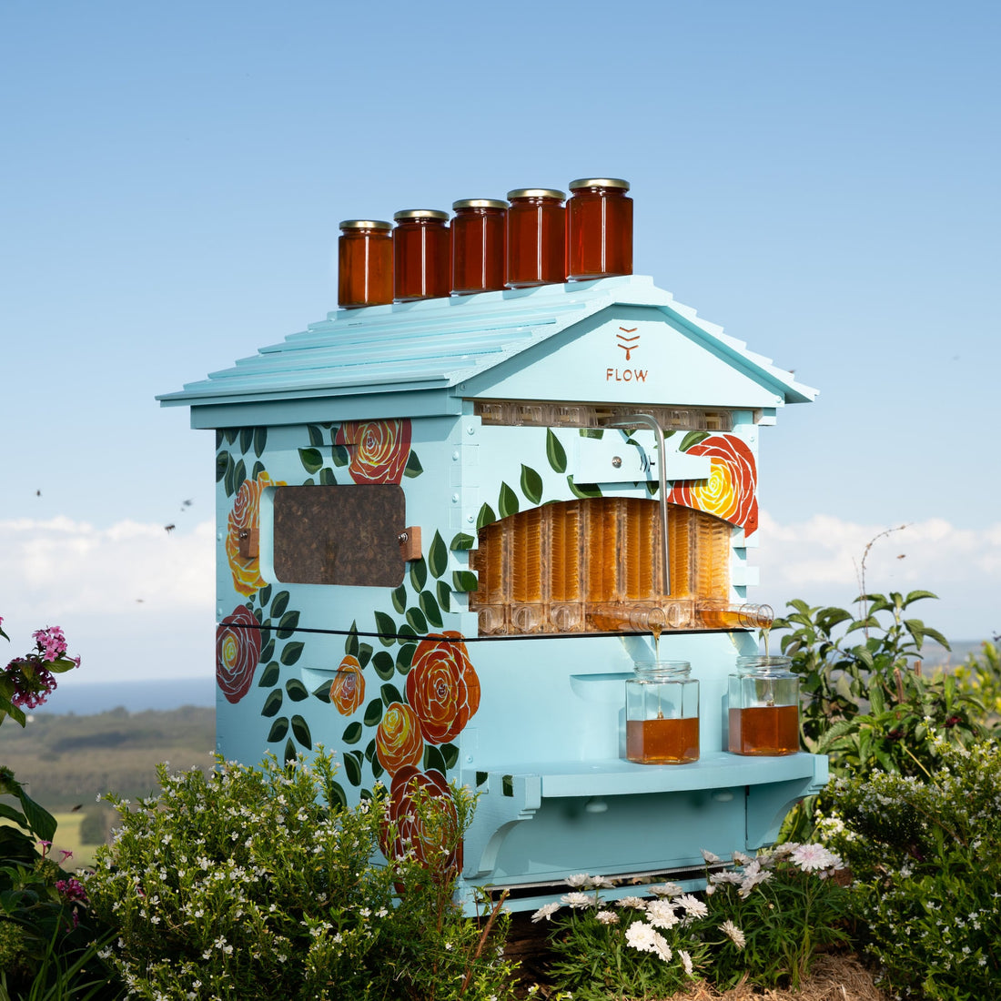 Spring beekeeping in Europe. Learn what you need - Flow Hive EU