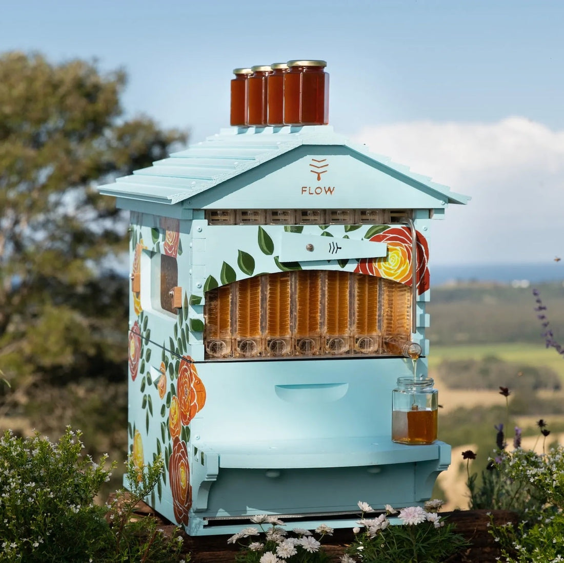 Spring beekeeping in Europe. Learn what you need - Flow Hive EU