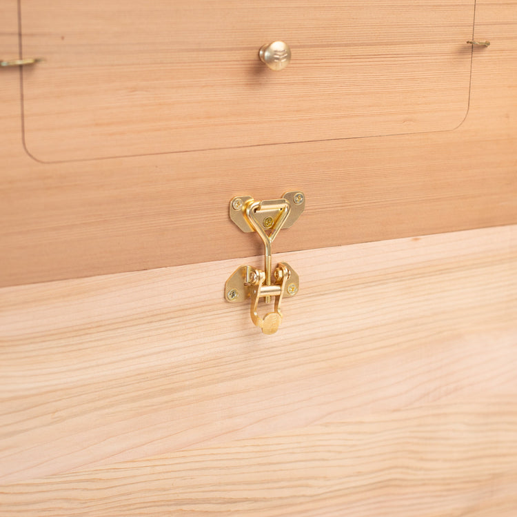 Flow Brass Hive Latches