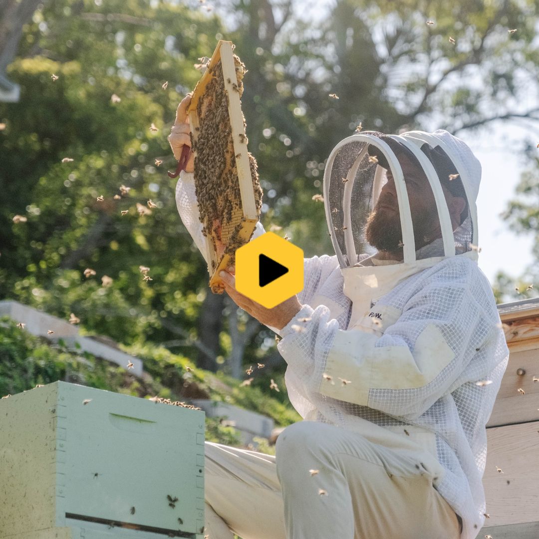 Monitoring your splits