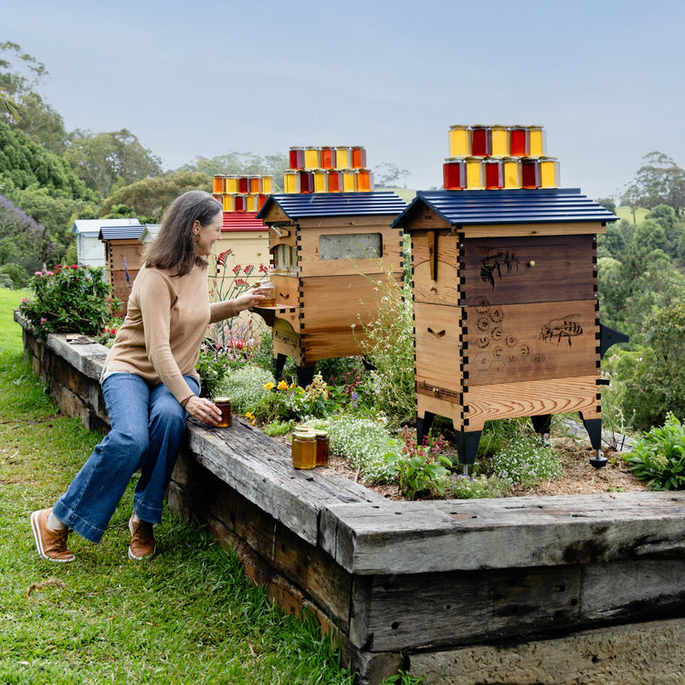 Deluxe Black Friday Bundle