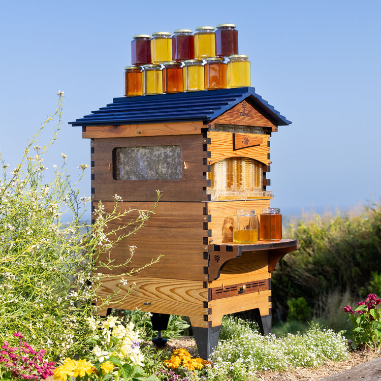 Deluxe Black Friday Bundle