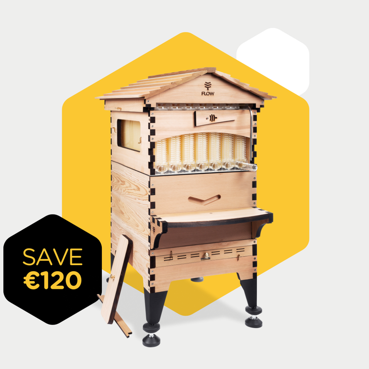 Flow Hive 2+ – Scratch & Dent
