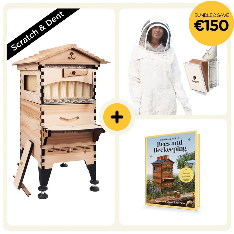 Scratch & Dent Starter Bundle