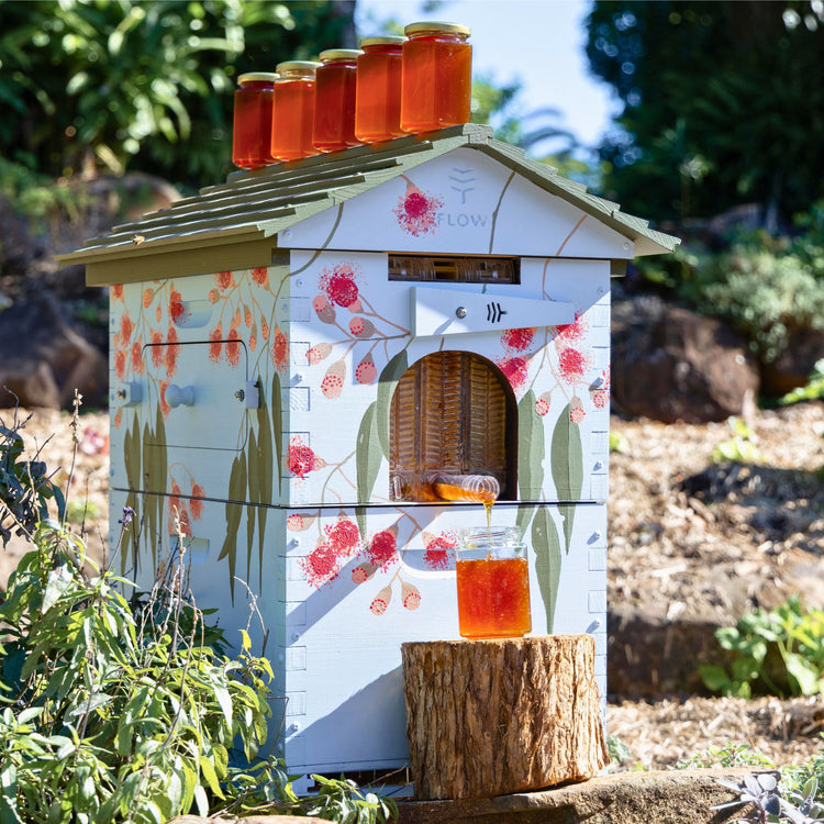 Flow Hive Hybrid