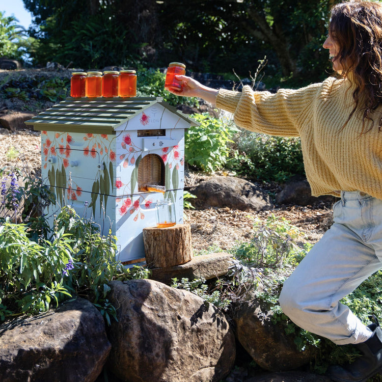 Flow Hive Hybrid