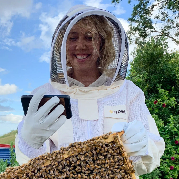 Online beekeeping course - yearly subscription