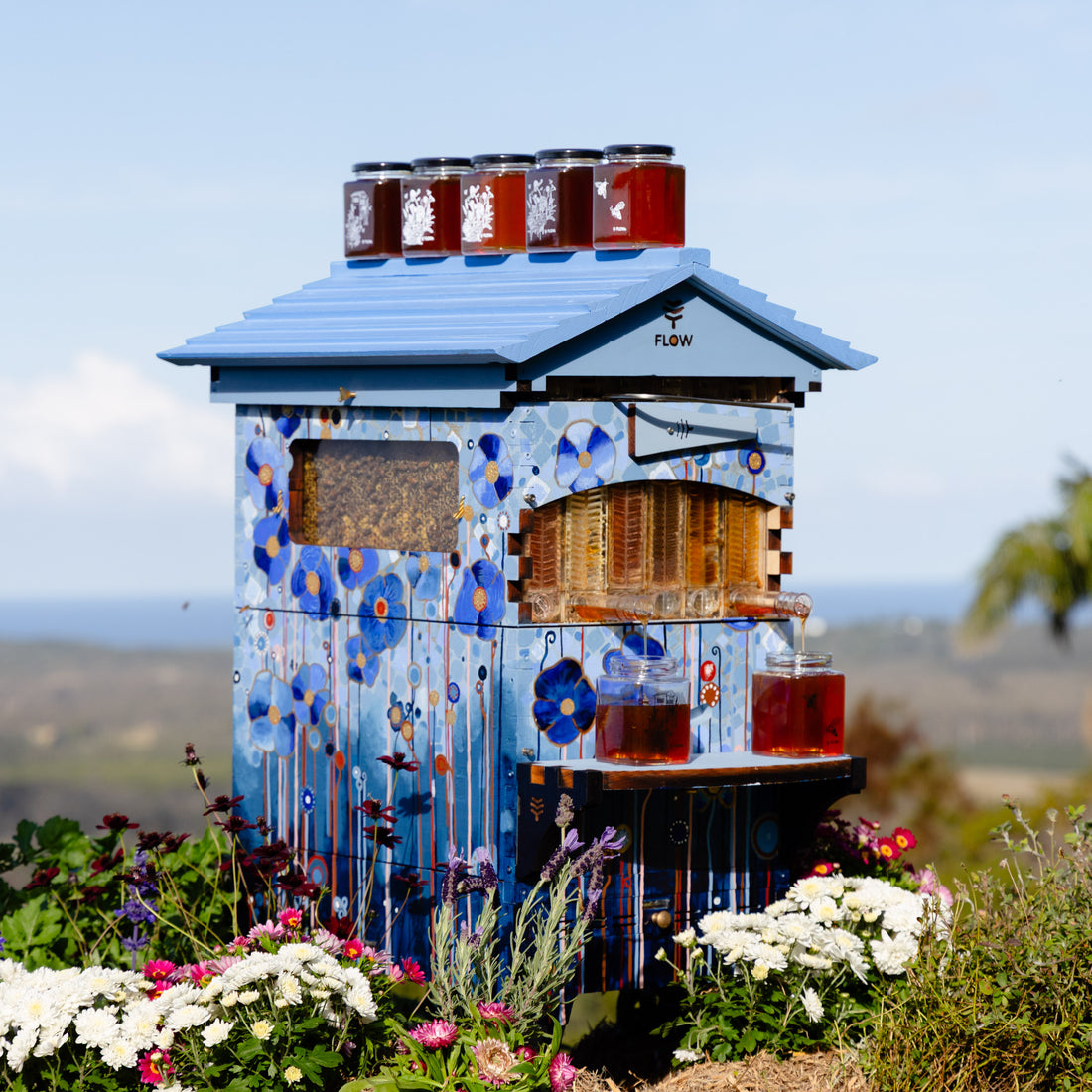 Spring beekeeping in Europe. Learn what you need - Flow Hive EU