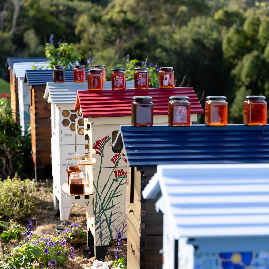 Spring beekeeping in Europe. Learn what you need - Flow Hive EU